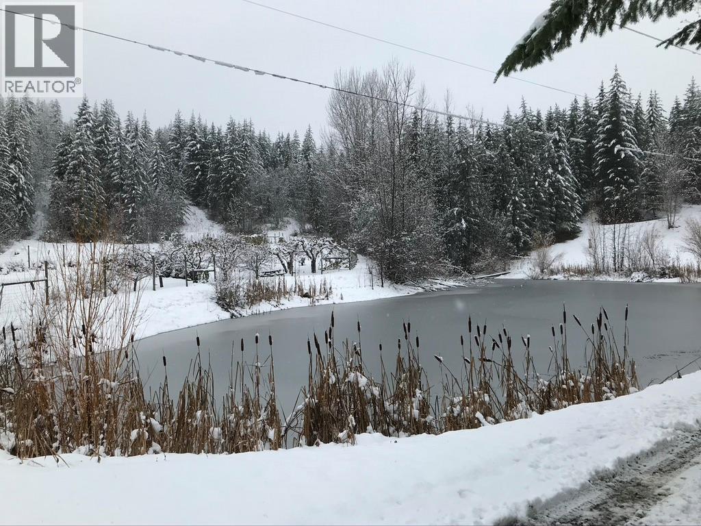 4878 Leopold Road, Celista, BC - Outdoor