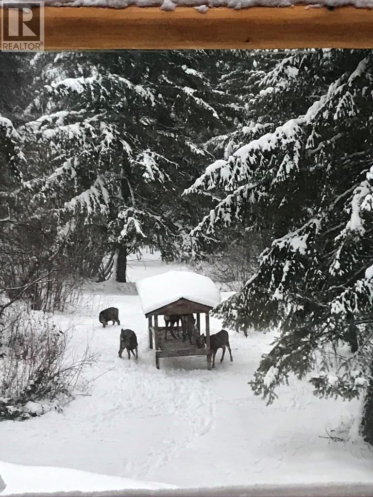 4878 Leopold Road, Celista, BC - Outdoor