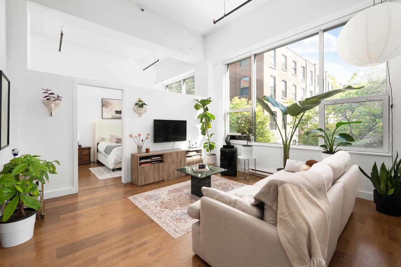 Salon - 158-4951 Rue Ontario E., Montréal (Mercier/Hochelaga-Maisonneuve), QC - Indoor Photo Showing Living Room