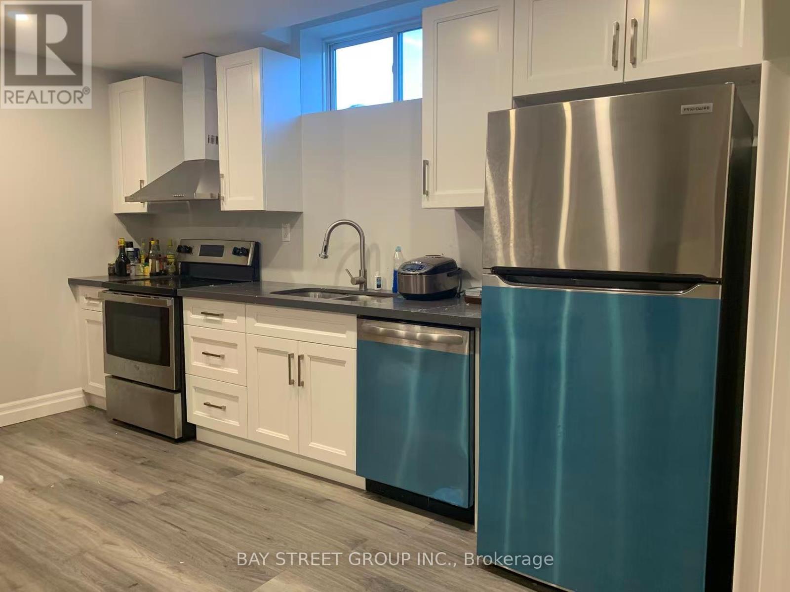 Basement - 56 Stelle Lane, Hamilton, ON - Indoor Photo Showing Kitchen With Stainless Steel Kitchen With Double Sink