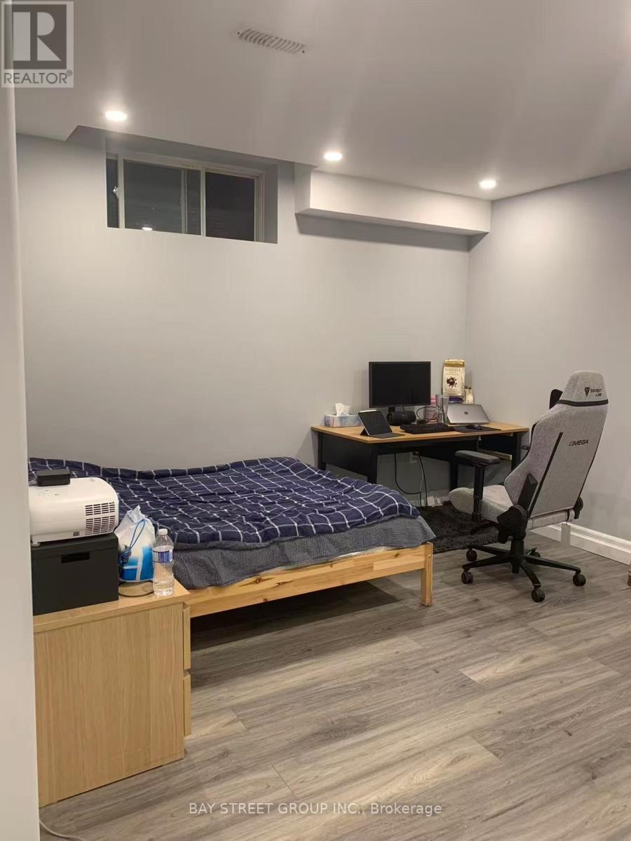 Basement - 56 Stelle Lane, Hamilton, ON - Indoor