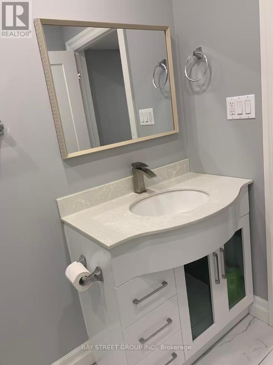 Basement - 56 Stelle Lane, Hamilton, ON - Indoor Photo Showing Bathroom