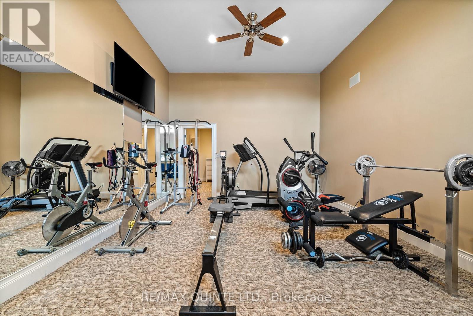 Home Gym - 229 Main Street, Prince Edward County (Picton), ON - Indoor Photo Showing Gym Room