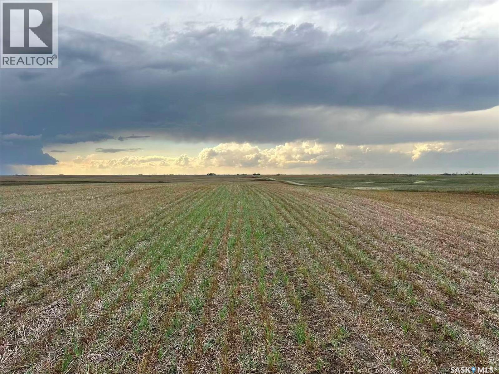 961 Acres Farmland In Rm Morris, Morris Rm No. 312, SK