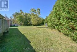 long yard with privacy hedge -