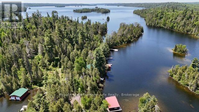 144 Lake Temagami Isl 25 Island, Temagami, ON - Outdoor With Body Of Water With View