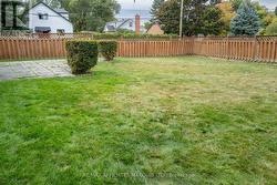 Fenced yard -