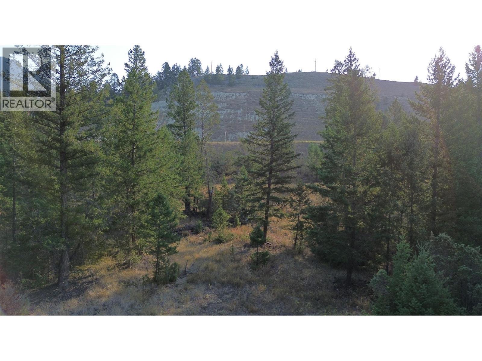 4962 Saddlewood Lane, Radium Hot Springs, BC