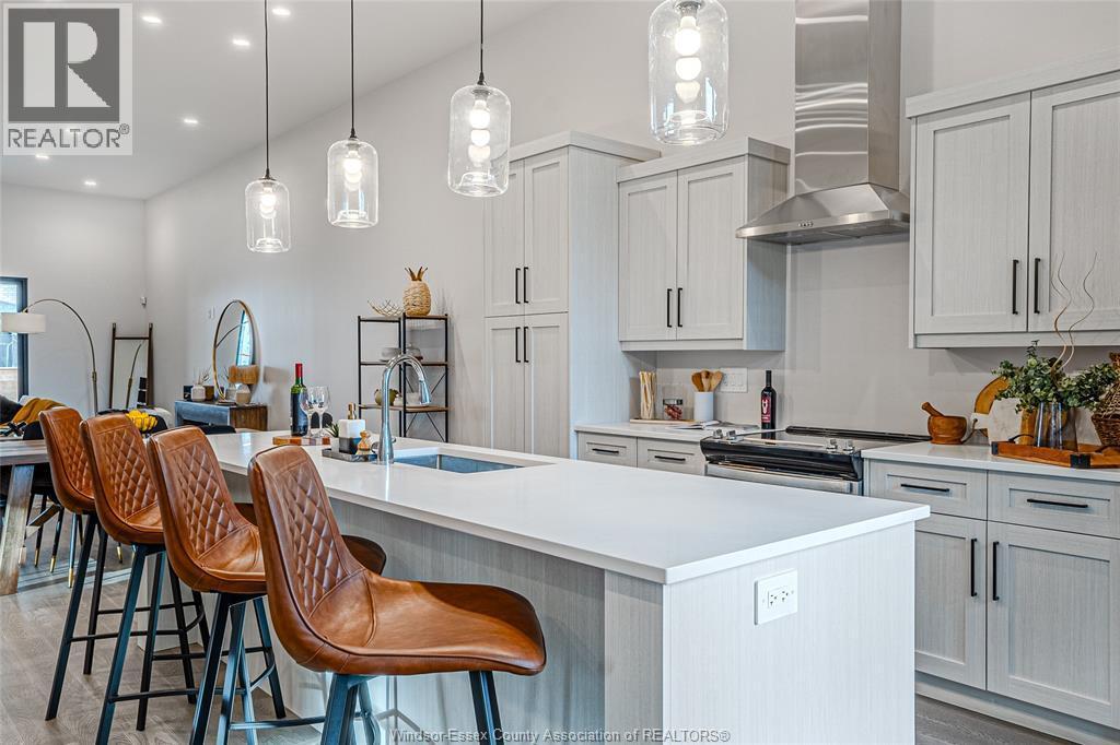 592 Lily Mac Boulevard, Windsor, ON - Indoor Photo Showing Kitchen With Upgraded Kitchen