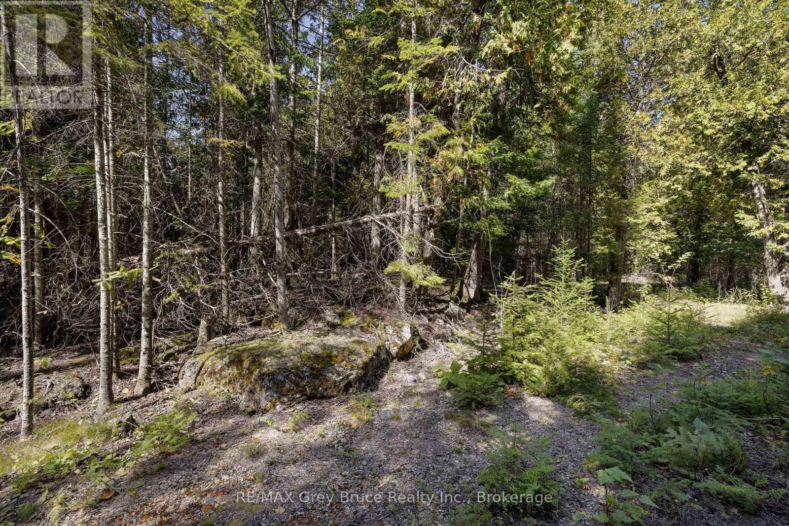 Part 2 Devils Glen, Northern Bruce Peninsula, ON