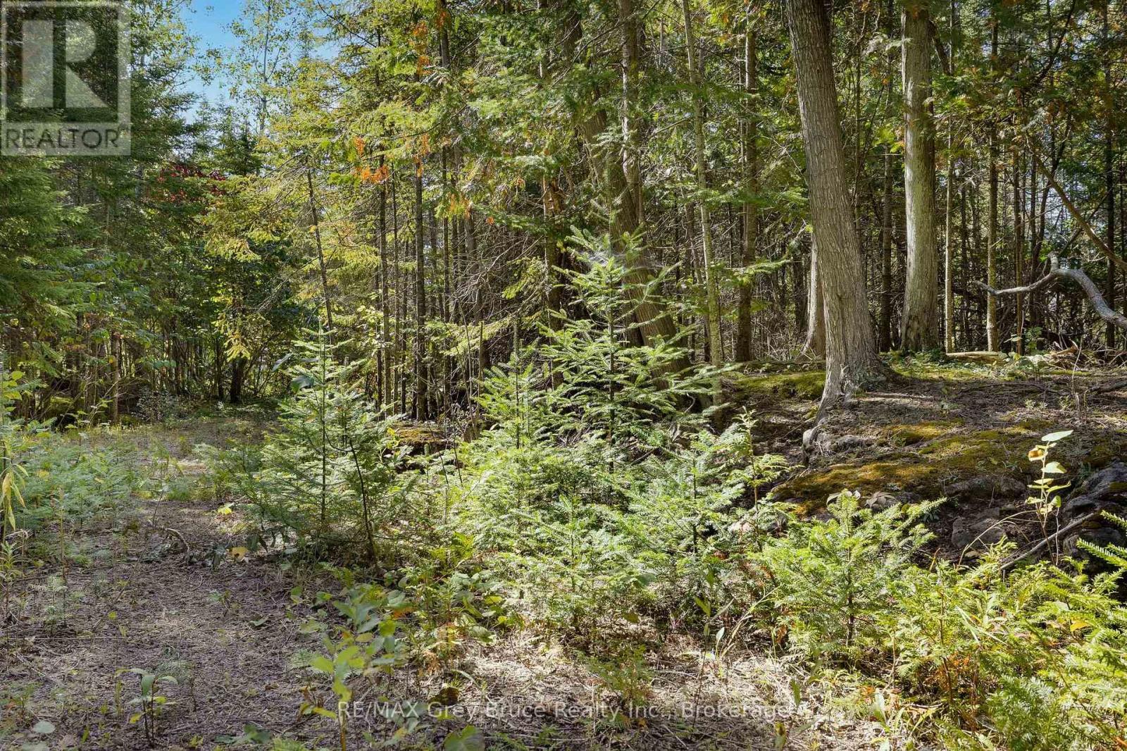 Part 2 Devils Glen, Northern Bruce Peninsula, ON