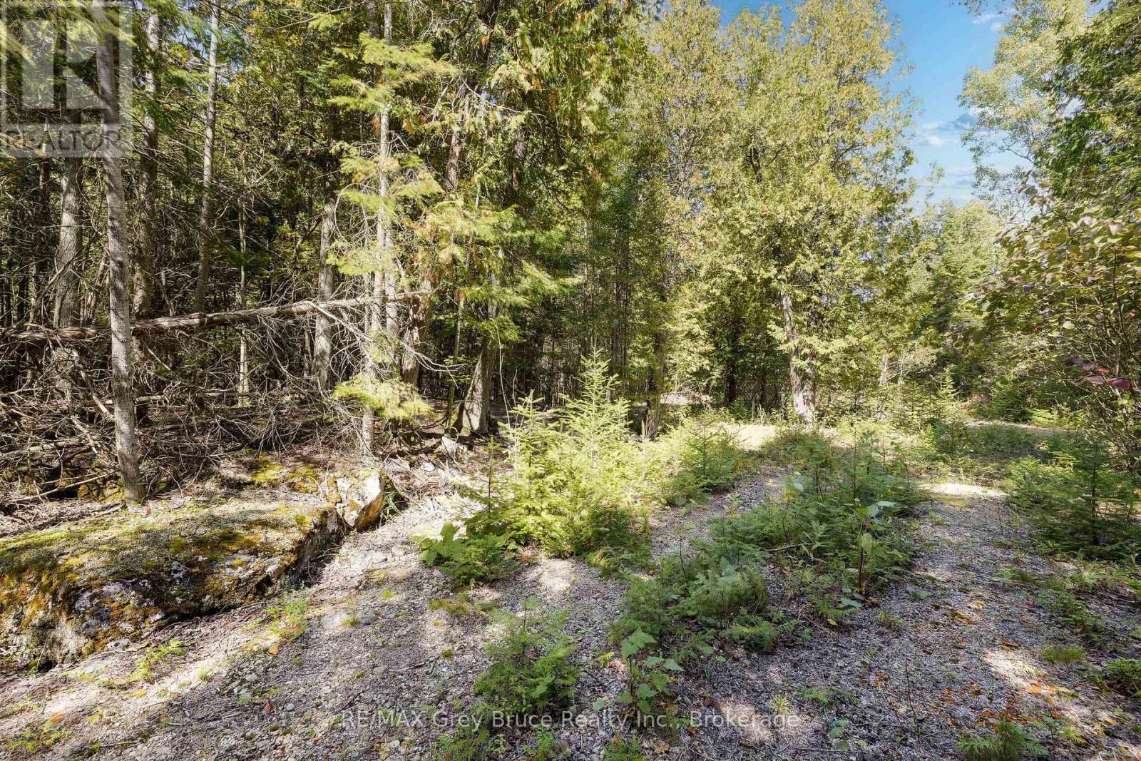 Part 2 Devils Glen, Northern Bruce Peninsula, ON