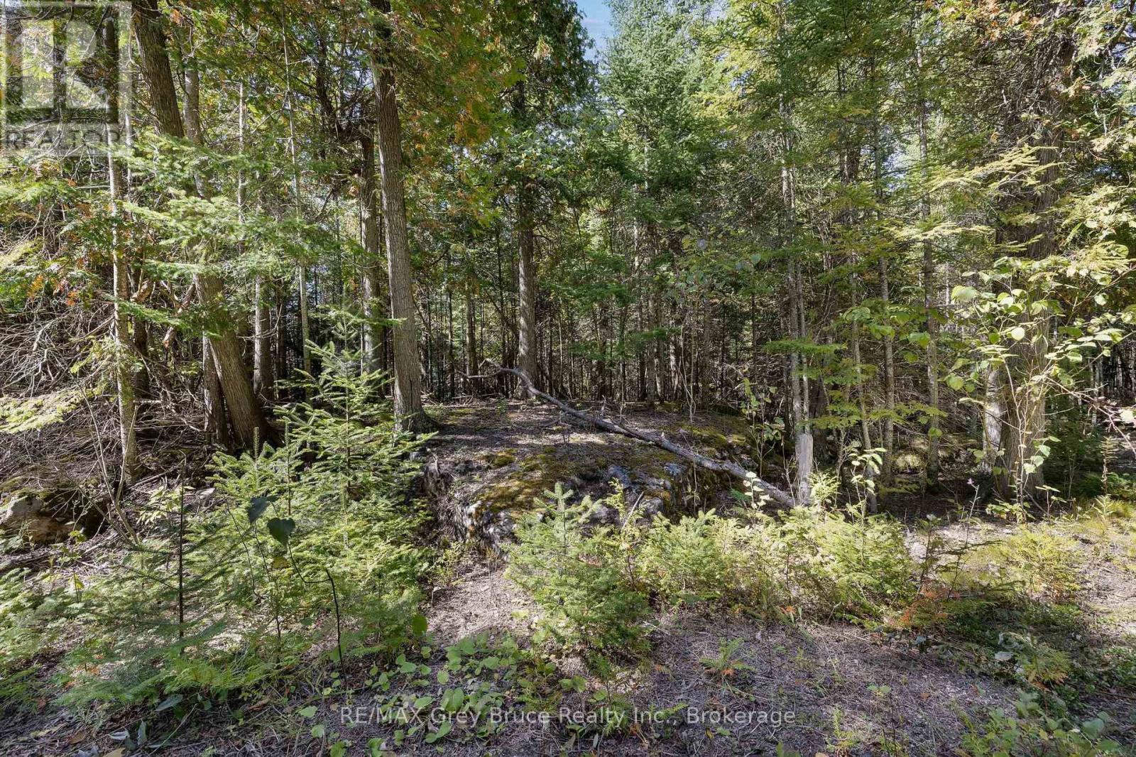 Part 2 Devils Glen, Northern Bruce Peninsula, ON