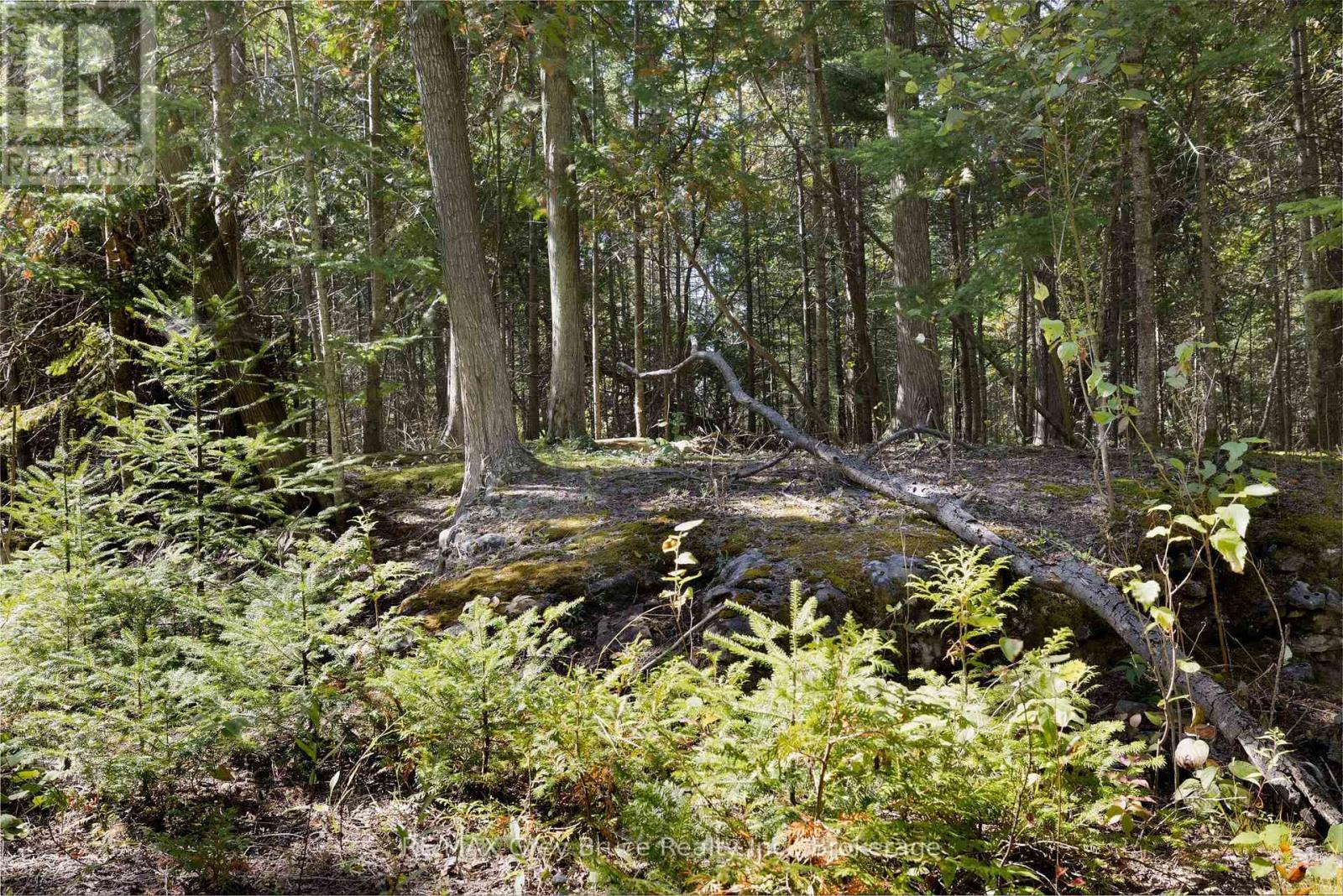 Part 2 Devils Glen, Northern Bruce Peninsula, ON