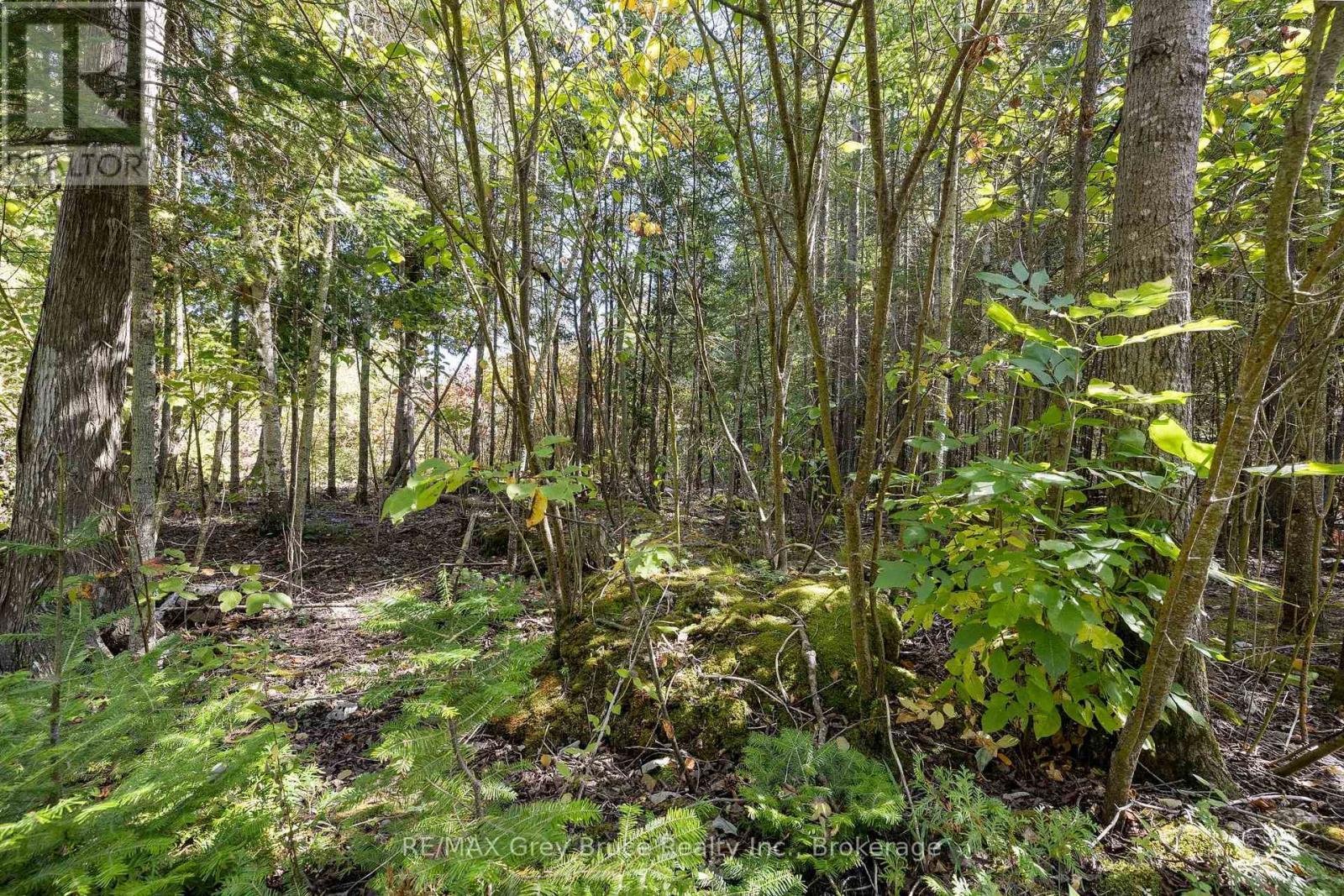 Part 2 Devils Glen, Northern Bruce Peninsula, ON