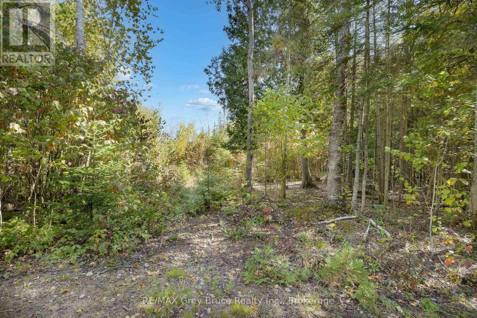 Part 2 Devils Glen, Northern Bruce Peninsula, ON