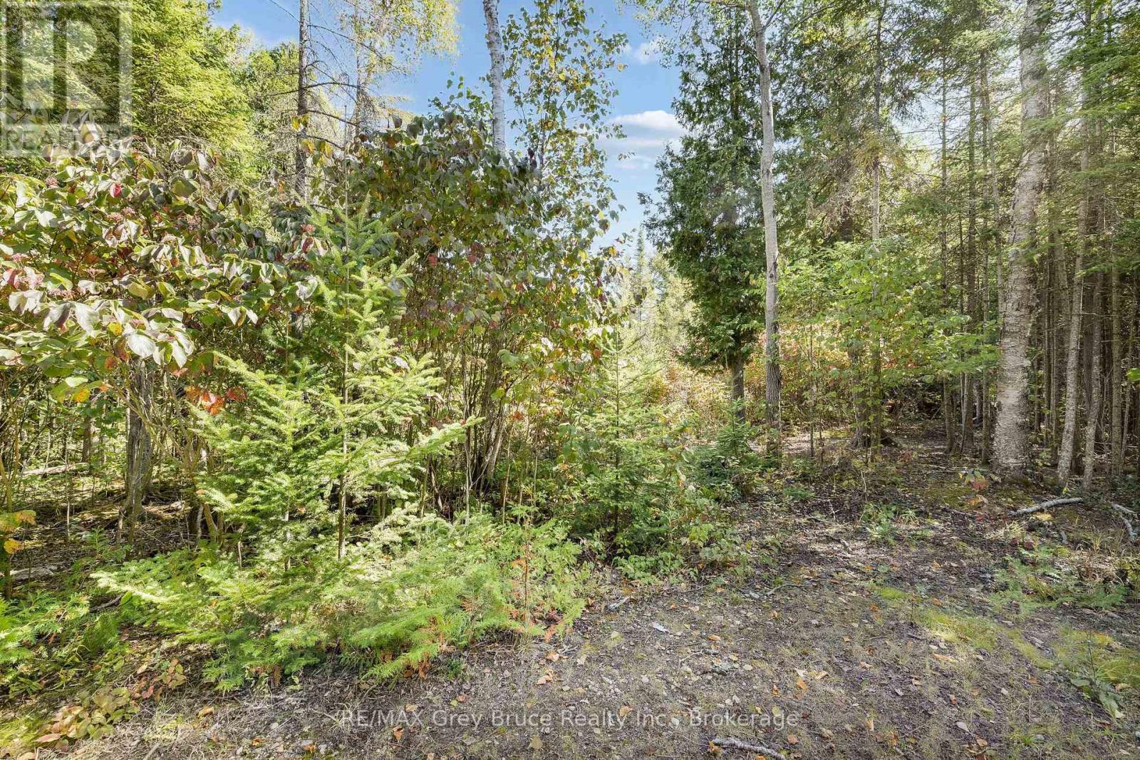 Part 2 Devils Glen, Northern Bruce Peninsula, ON