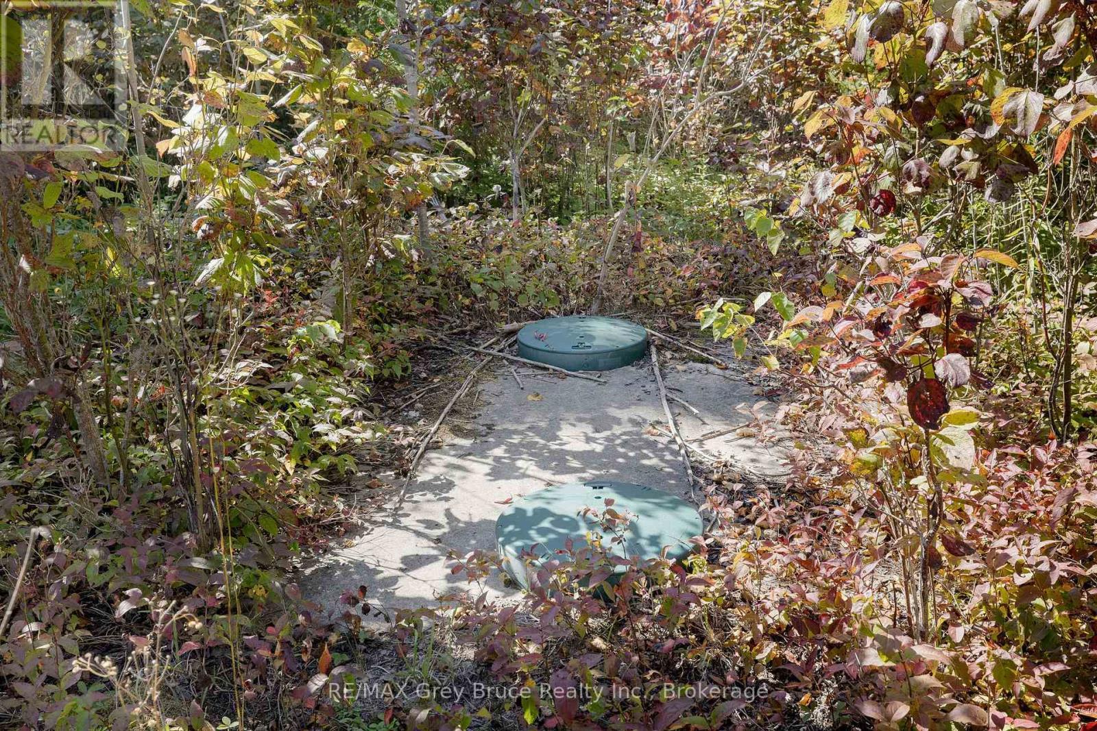 Part 2 Devils Glen, Northern Bruce Peninsula, ON