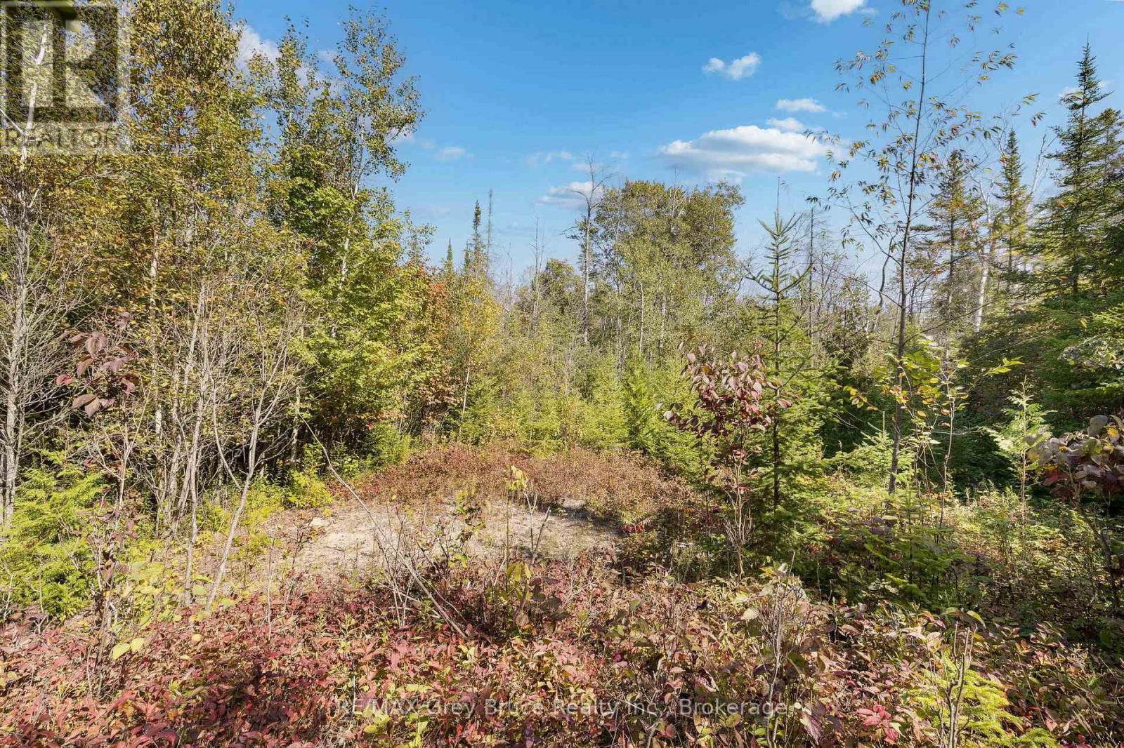 Part 2 Devils Glen, Northern Bruce Peninsula, ON