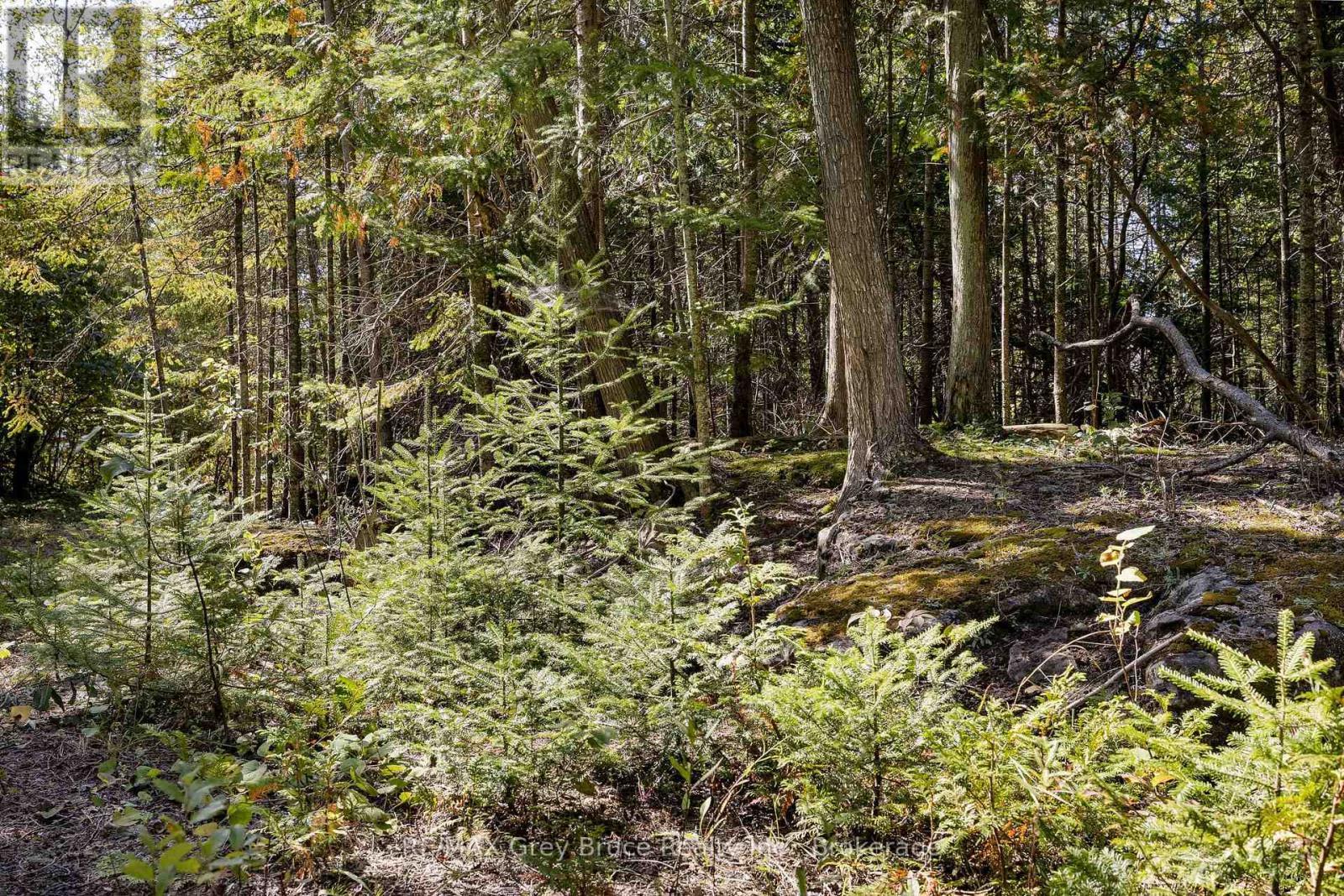 Part 2 Devils Glen, Northern Bruce Peninsula, ON