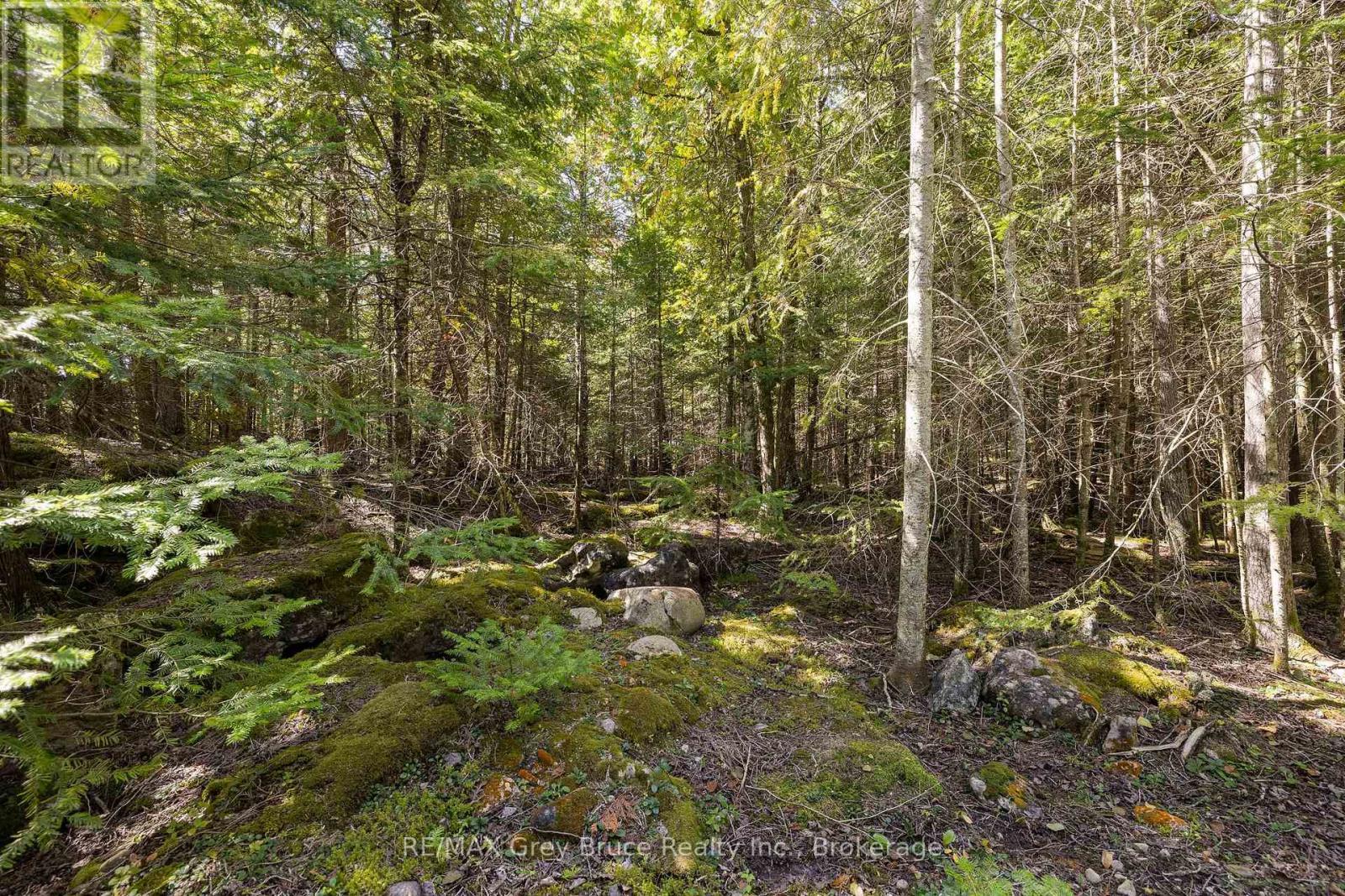 Part 2 Devils Glen, Northern Bruce Peninsula, ON