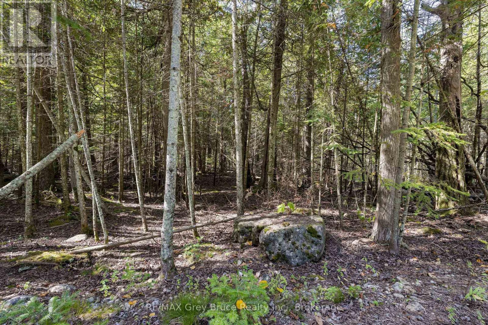 Part 2 Devils Glen, Northern Bruce Peninsula, ON