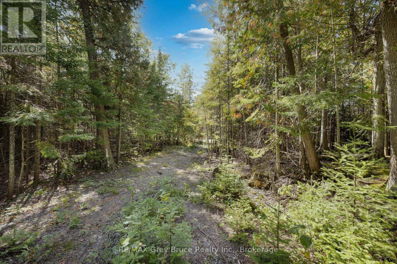 Part 2 Devils Glen, Northern Bruce Peninsula, ON