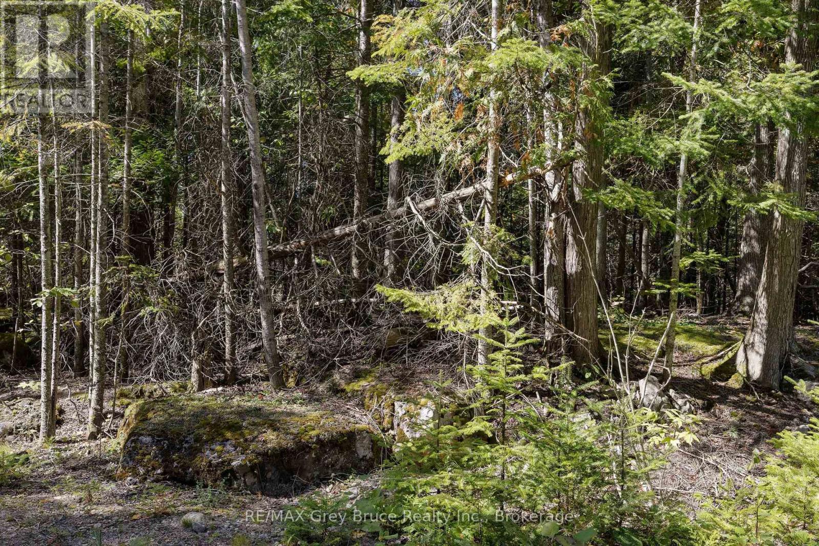 Part 2 Devils Glen, Northern Bruce Peninsula, ON