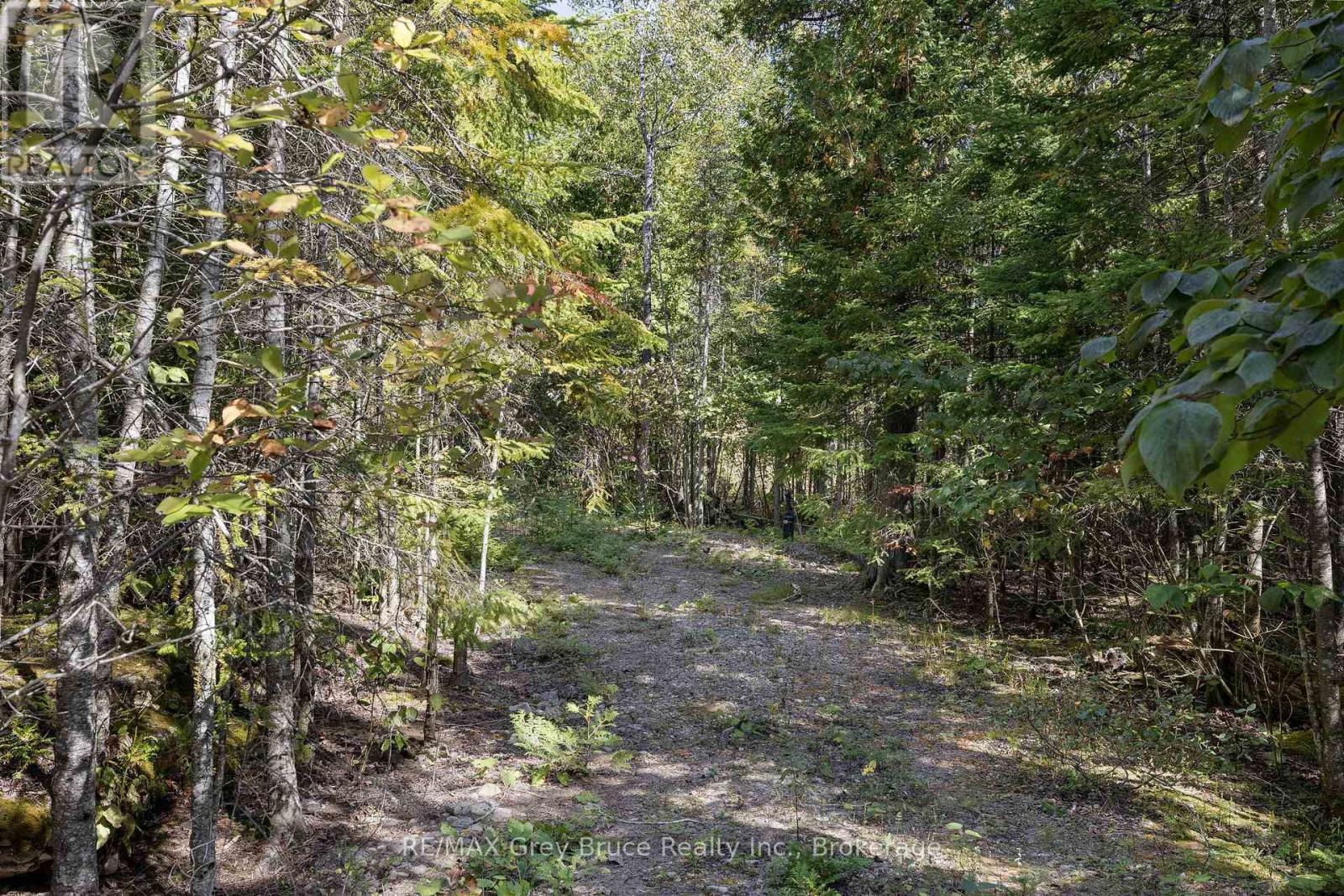 Part 2 Devils Glen, Northern Bruce Peninsula, ON