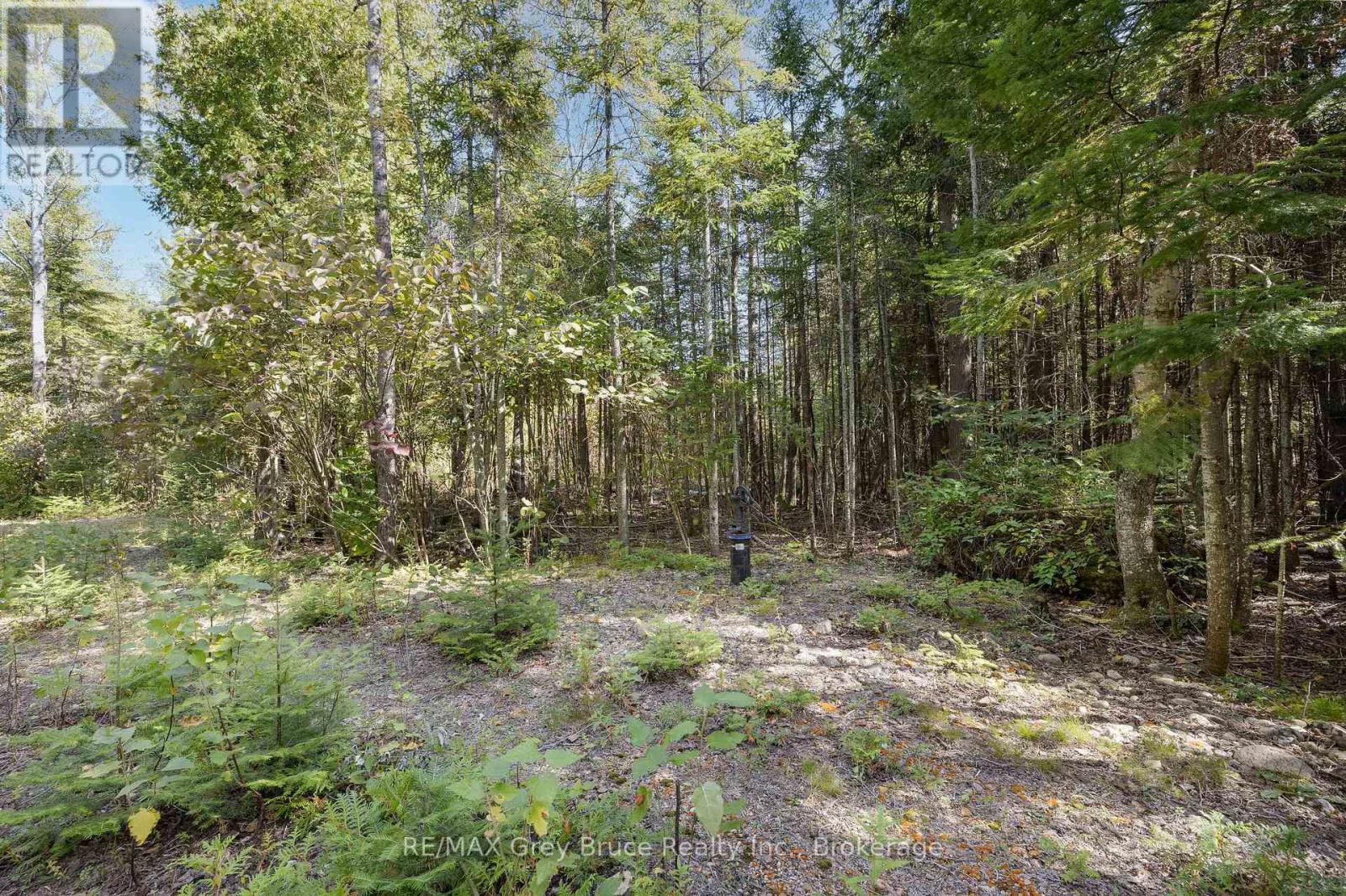 Part 2 Devils Glen, Northern Bruce Peninsula, ON