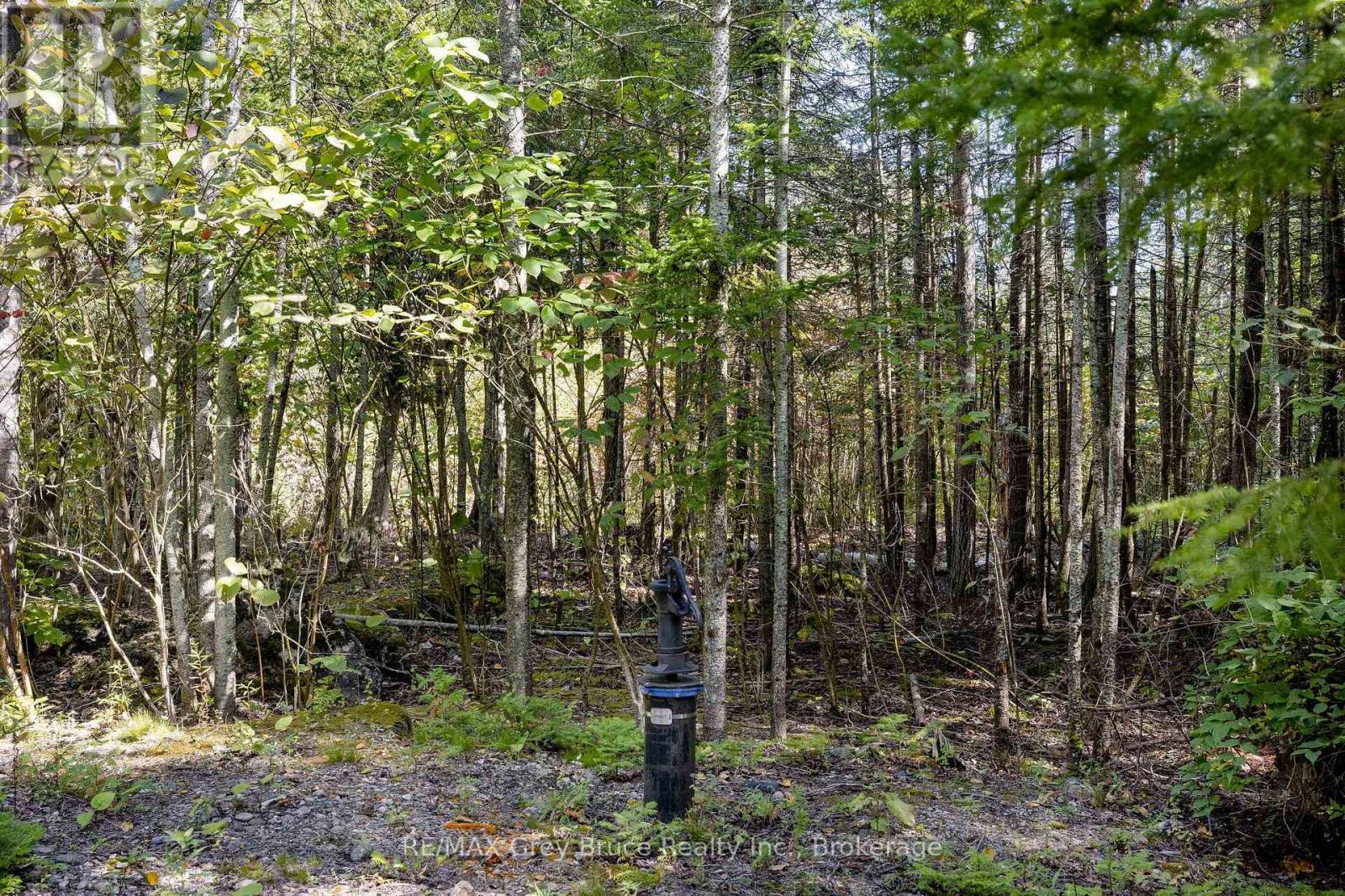 Part 2 Devils Glen, Northern Bruce Peninsula, ON