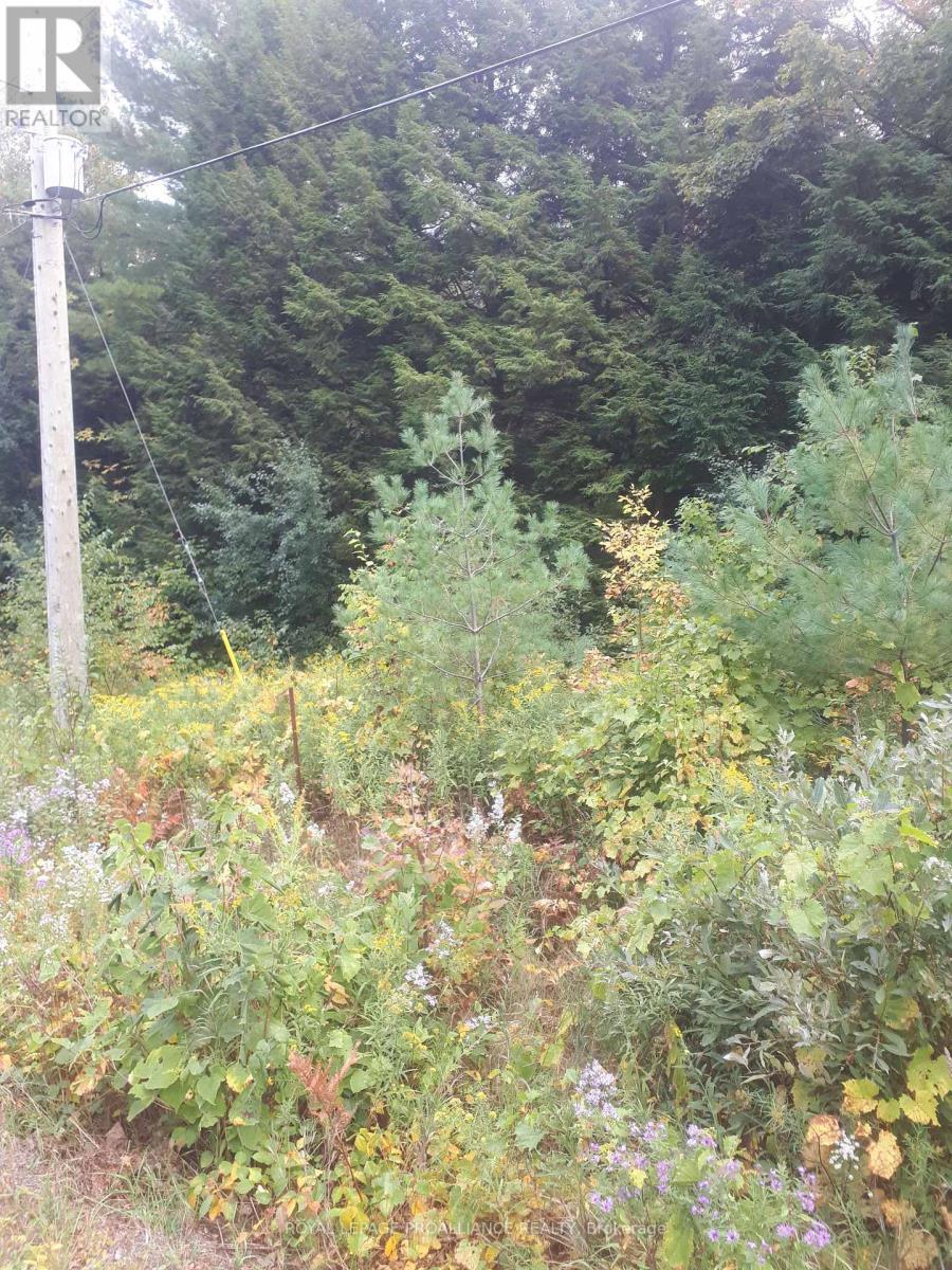 001 Lot 2 Conc 7, Port Hope, ON