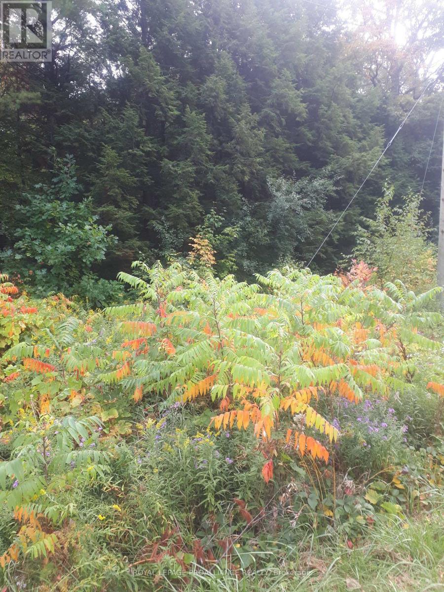 001 Lot 2 Conc 7, Port Hope, ON