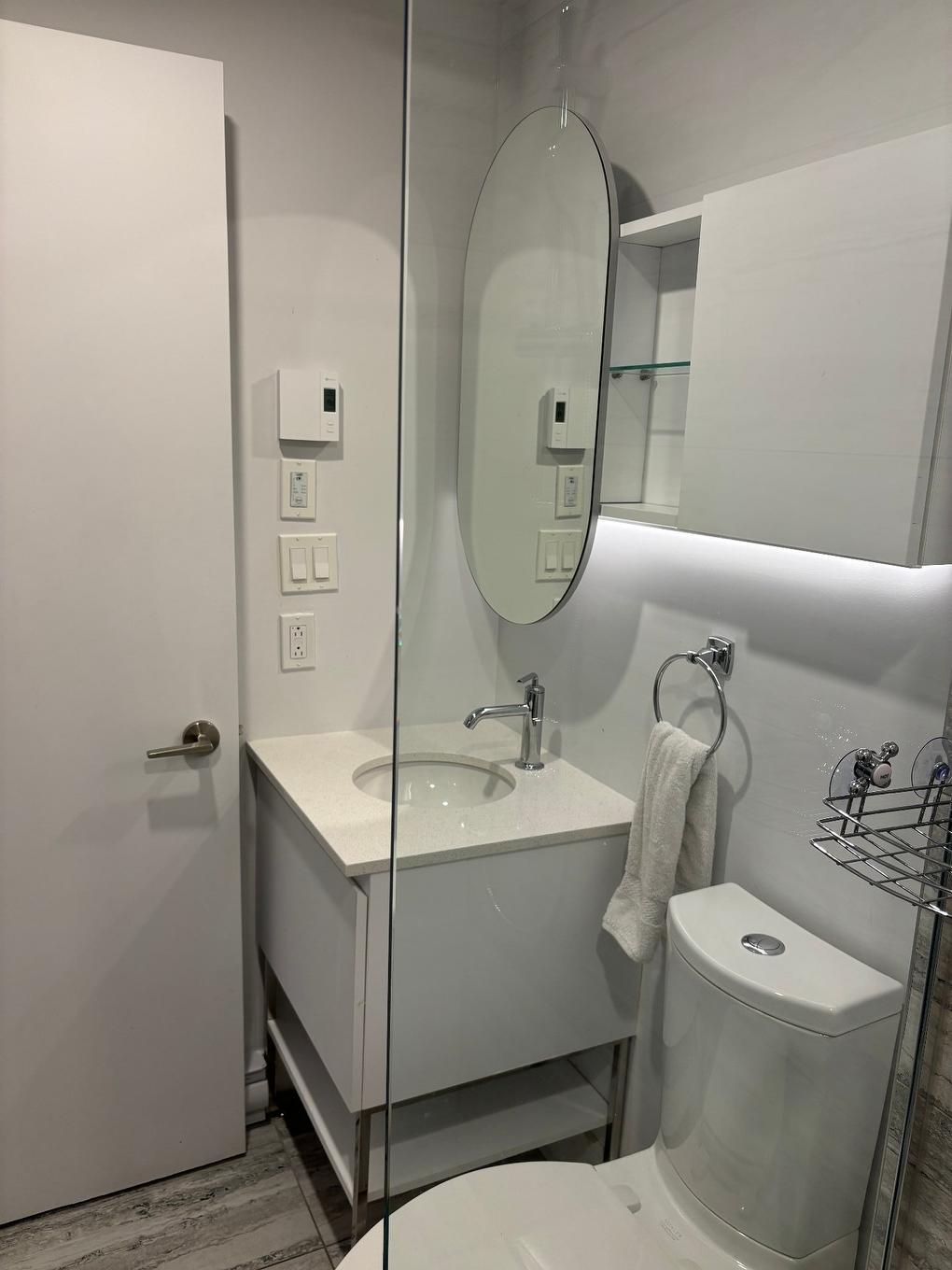 Bathroom - 604-2320 Rue Tupper, Montréal (Ville-Marie), QC - Indoor Photo Showing Bathroom