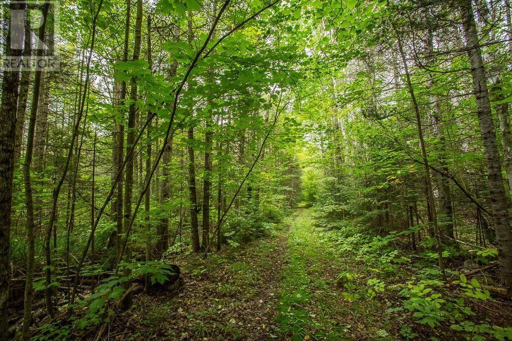 Trunk Road / Hwy 17, Huron Shores, Thessalon, ON