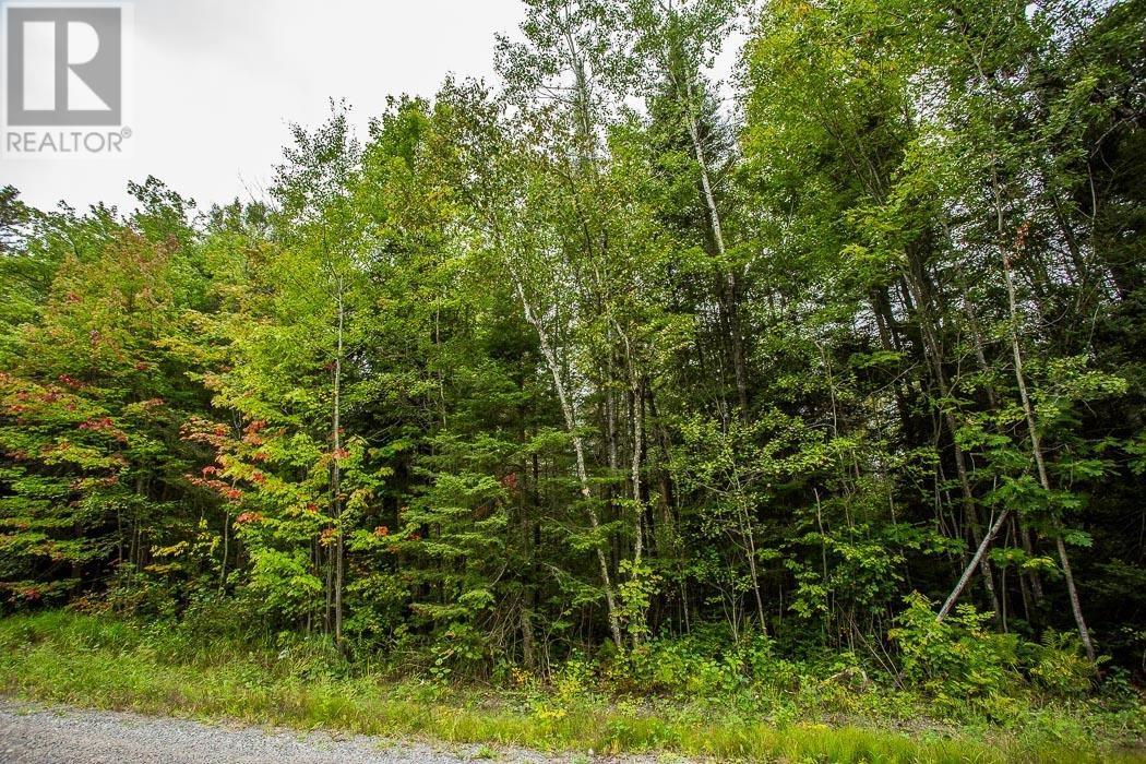 Trunk Road / Hwy 17, Huron Shores, Thessalon, ON