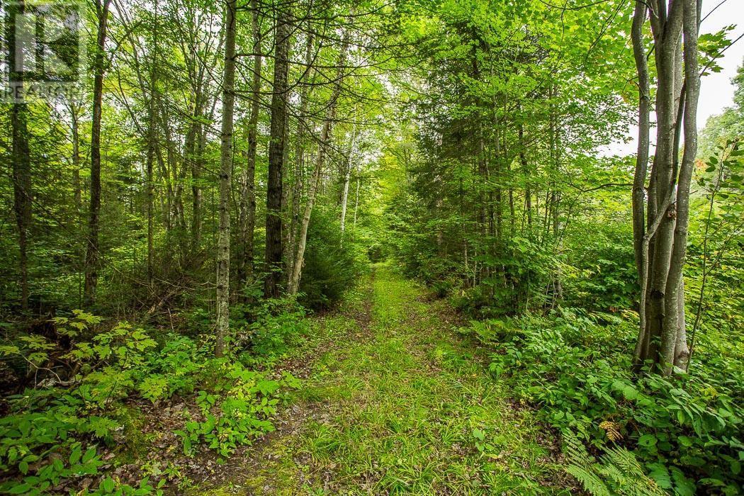Trunk Road / Hwy 17, Huron Shores, Thessalon, ON