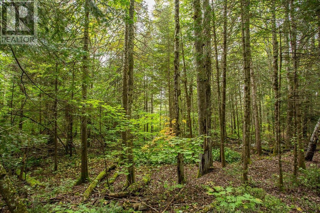Trunk Road / Hwy 17, Huron Shores, Thessalon, ON