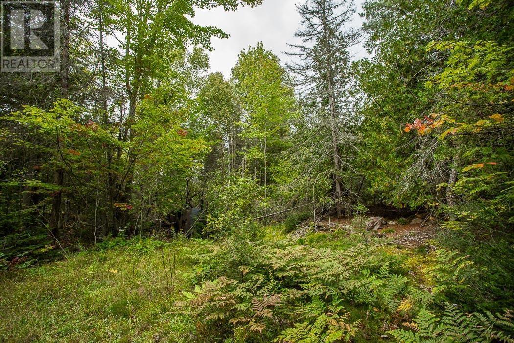 Trunk Road / Hwy 17, Huron Shores, Thessalon, ON