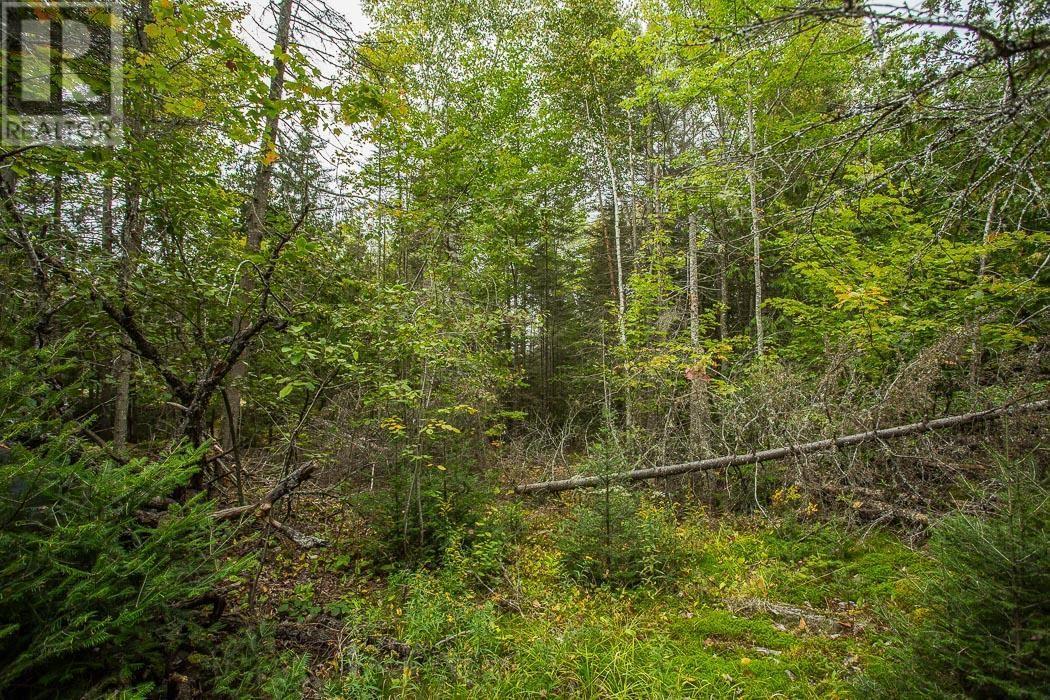 Trunk Road / Hwy 17, Huron Shores, Thessalon, ON