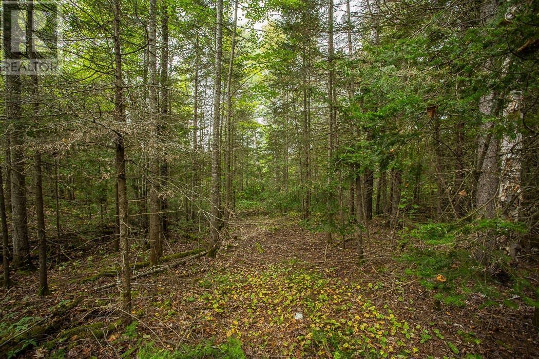Trunk Road / Hwy 17, Huron Shores, Thessalon, ON