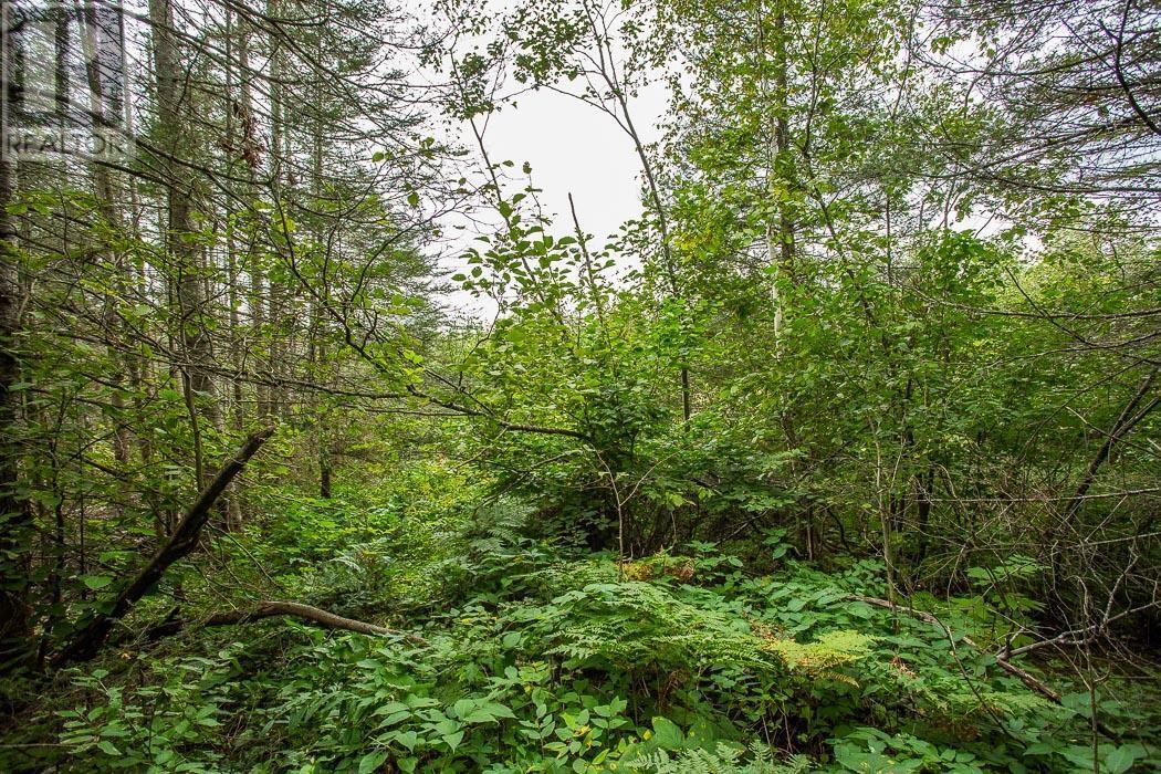 Trunk Road / Hwy 17, Huron Shores, Thessalon, ON