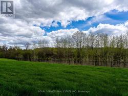 Green Space in Backyard -