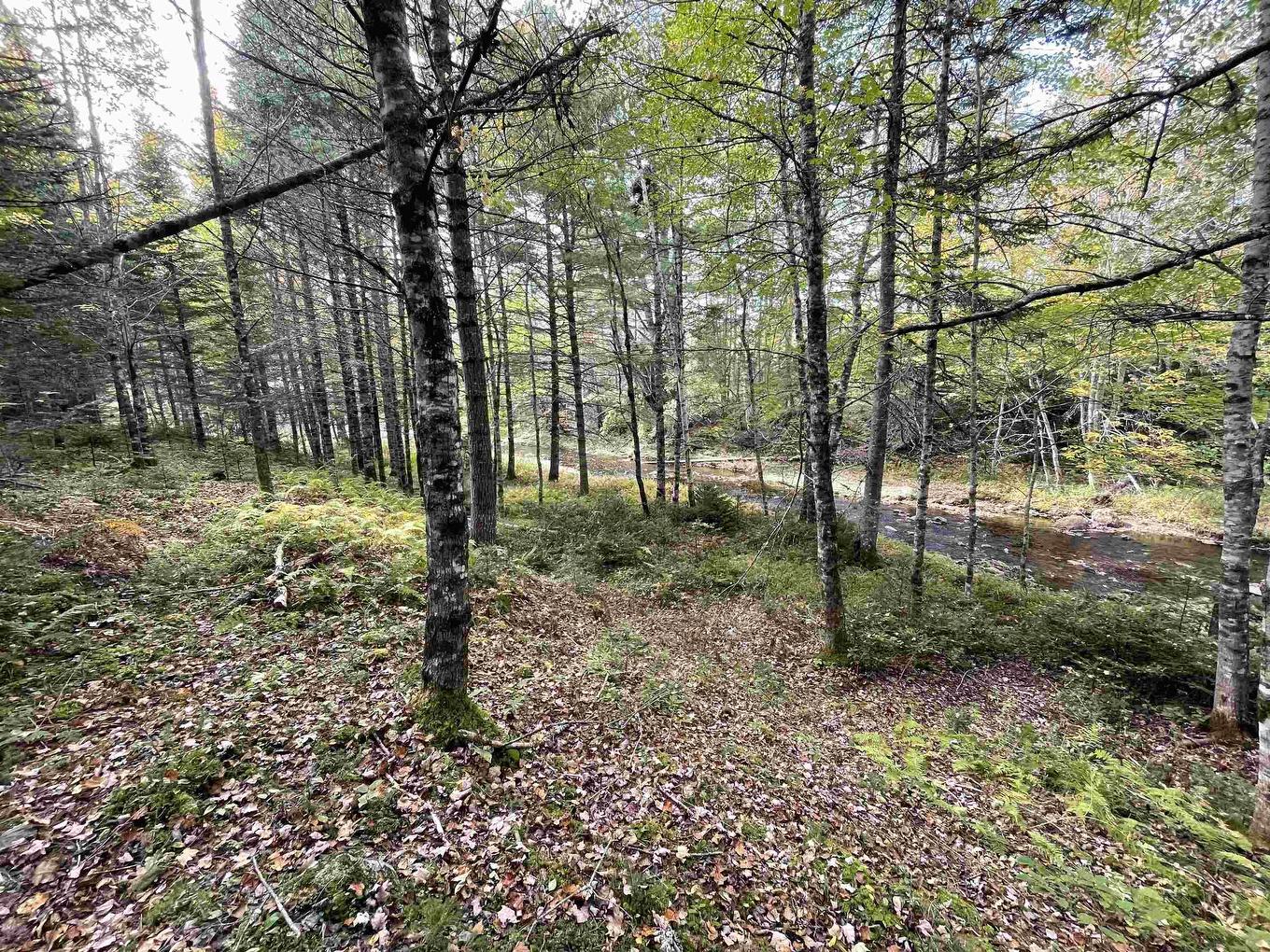 Lot Chesley Road, Barss Corner, NS