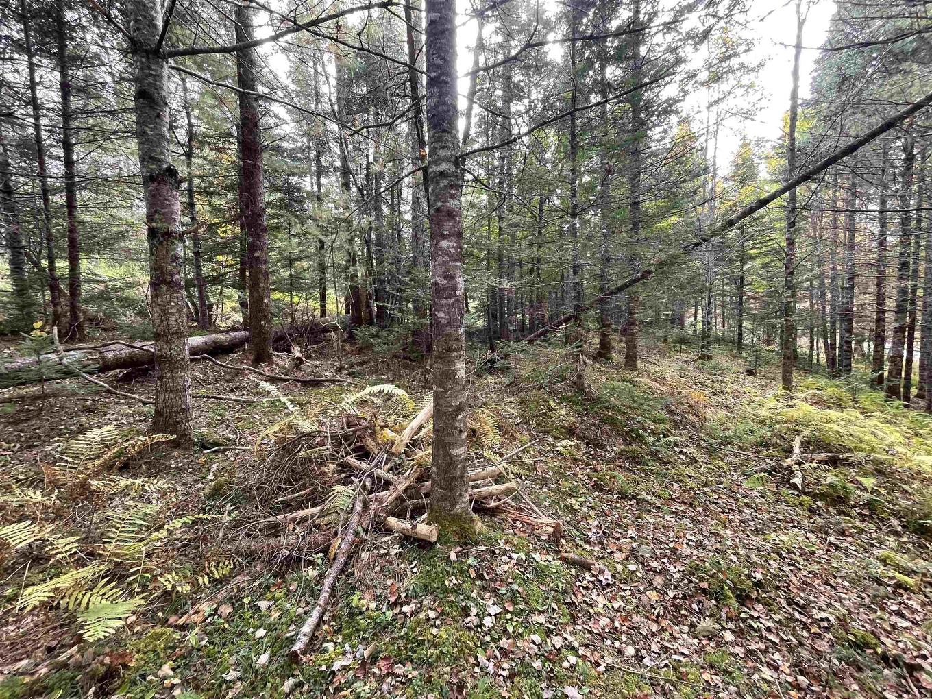 Lot Chesley Road, Barss Corner, NS