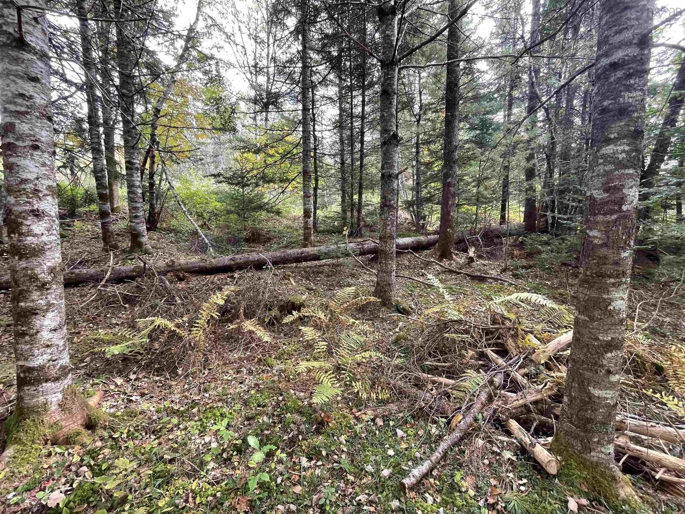 Lot Chesley Road, Barss Corner, NS