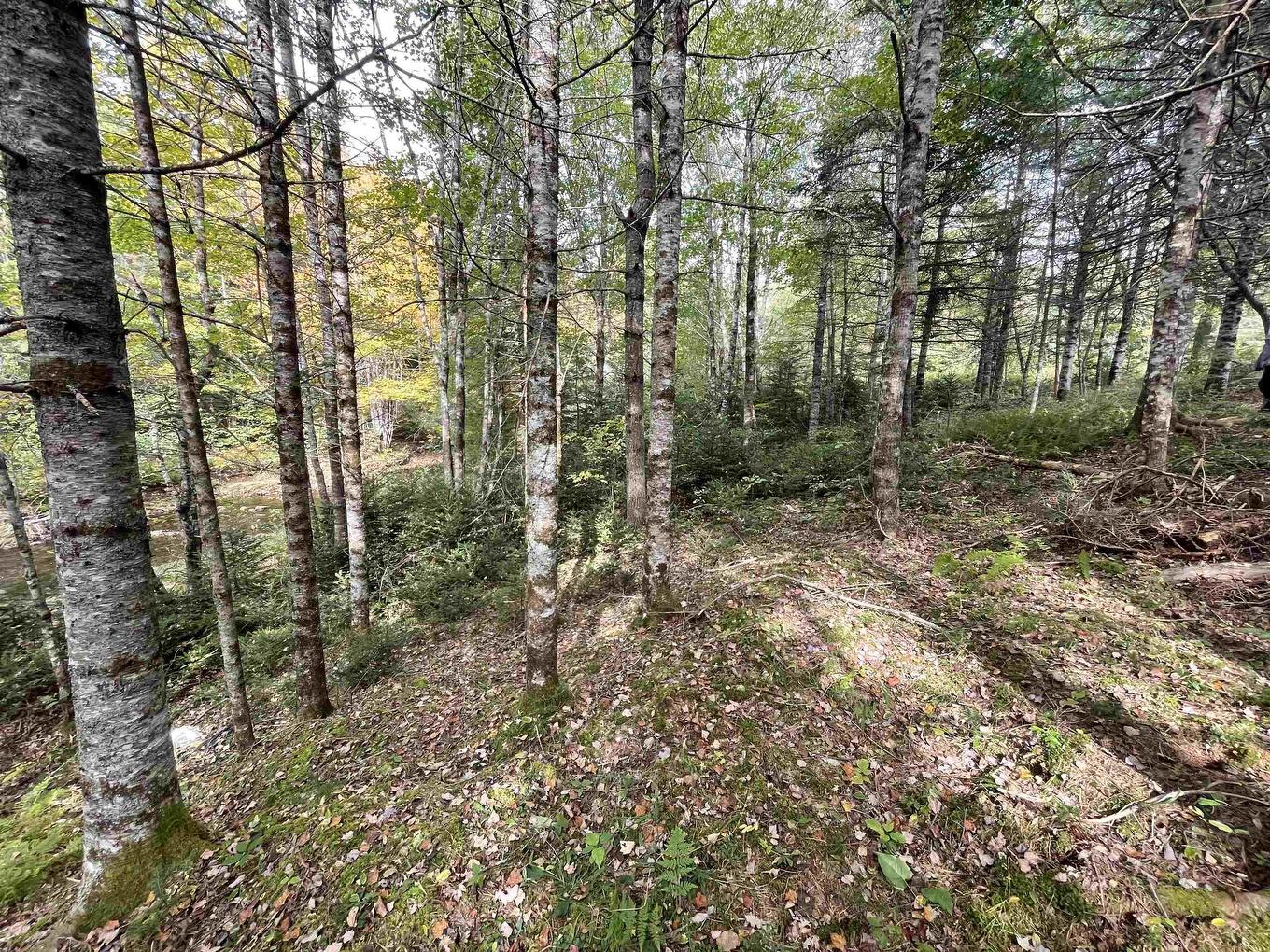 Lot Chesley Road, Barss Corner, NS