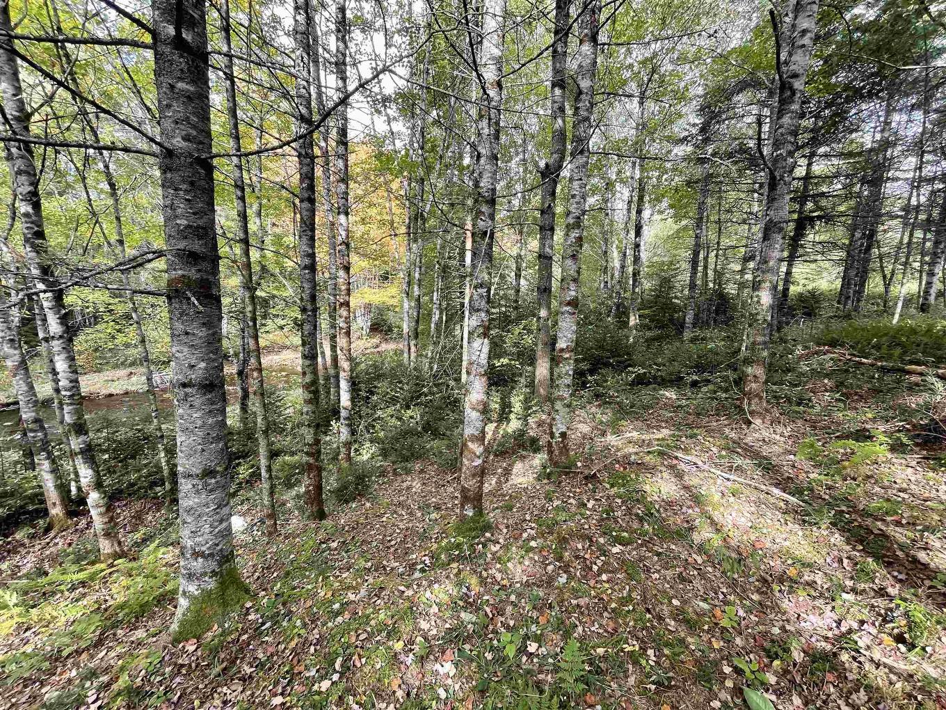 Lot Chesley Road, Barss Corner, NS