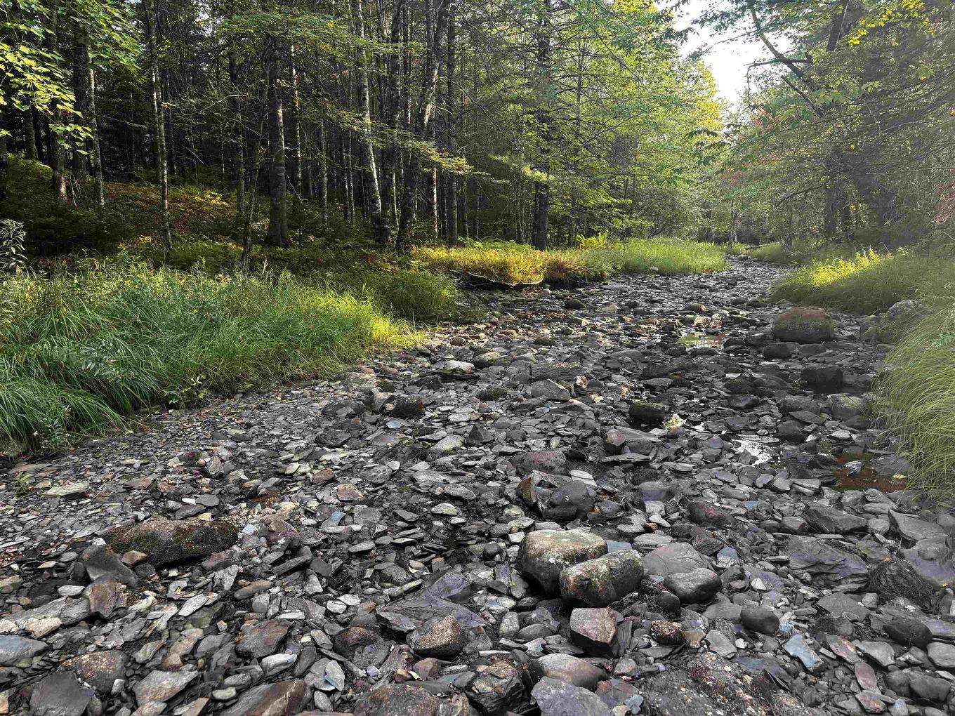 Lot Chesley Road, Barss Corner, NS