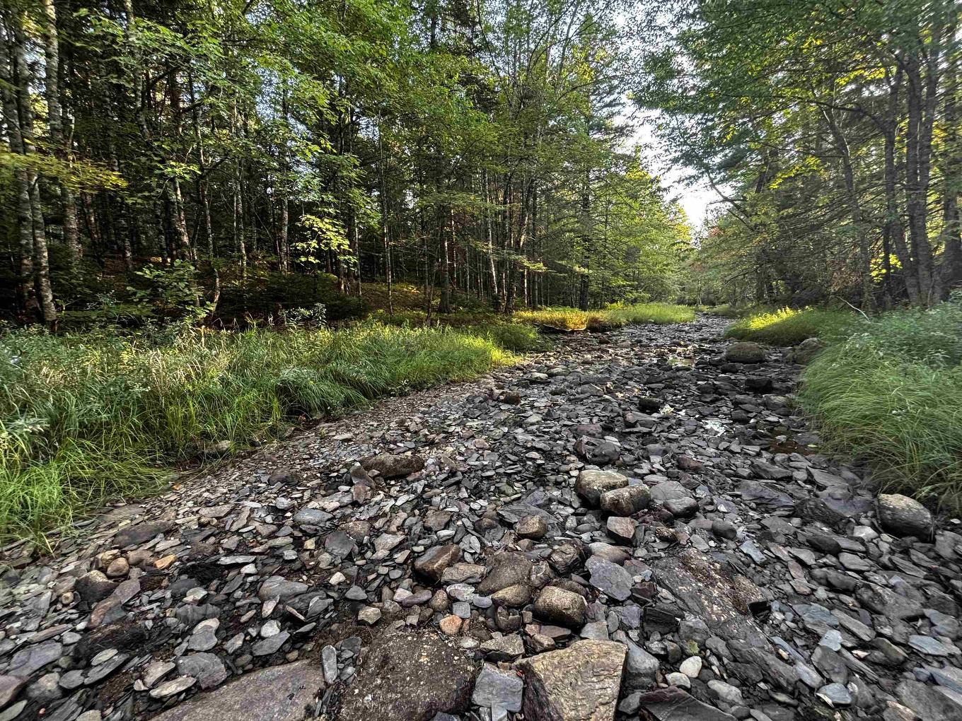 Lot Chesley Road, Barss Corner, NS